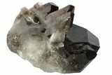 Dark Smoky Quartz Crystal Cluster - Brazil #84800-1